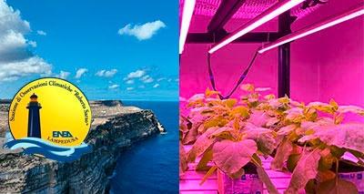 Vertical Farm e Lampedusa